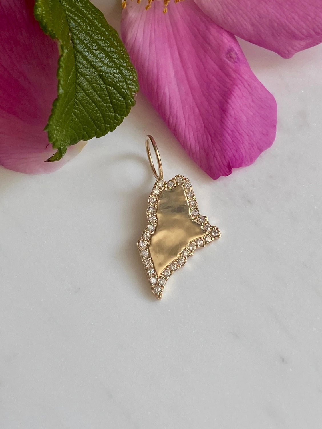 DIAMOND STATE OF MAINE CHARM